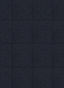 Bristol Renigi Blue Checks Suit 14 Bristol Renigi Blue Checks Suit -Tiano Suits Shop bristolrenigibluechecksuitlook 5