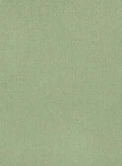 Naples Light Green Tweed Pea Coat 8 Naples Light Green Tweed Pea Coat -Tiano Suits Shop napleslightgreentweedpeacoatlook 2