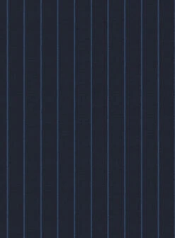 Napolean Eloyi Stripe Blue Wool Suit 15 Napolean Eloyi Stripe Blue Wool Suit -Tiano Suits Shop napoleaneloyistripebluewoolsuitlook 5