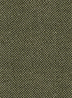 Napolean Limeade Green Wool Suit 15 Napolean Limeade Green Wool Suit -Tiano Suits Shop napoleanlimeadegreenwoolsuitlook 5