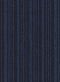 Retro Reel Blue Stripe Jacket 5 Retro Reel Blue Stripe Jacket -Tiano Suits Shop retroreelbluestripejktlook 2